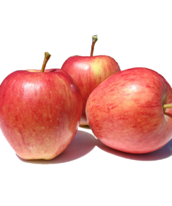 Apple Fuji