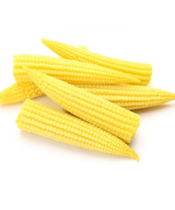 Baby Corn