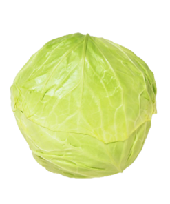 Cabbage White