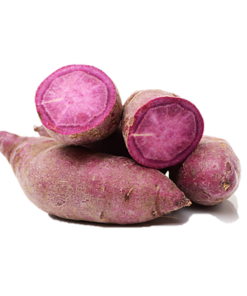 Cassava Purple