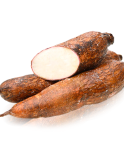 Cassava White