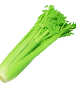 Celery Stick