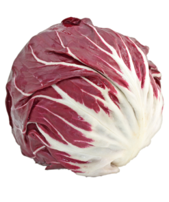 Chicory Radicchio
