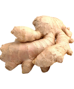 Ginger