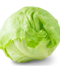 Iceberg Lettuce