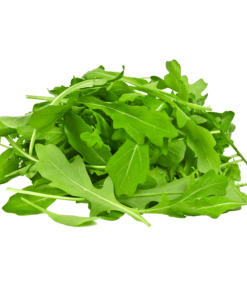 Rucola Rocket