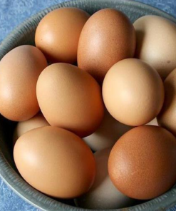 Eggs