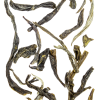 Dharma Teas Jasmine 125gr Leaf