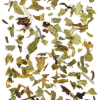 Dharma Teas Peppermint 125gr Leaf