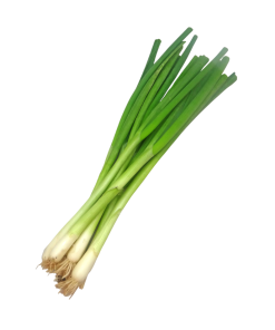Leek Update